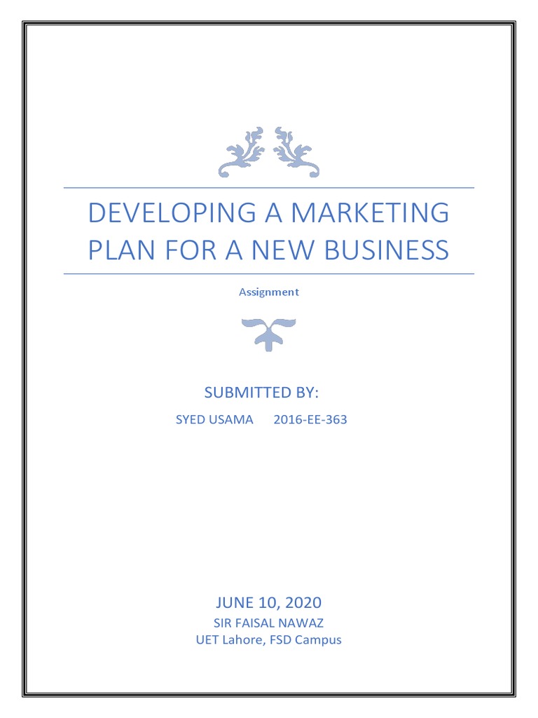 Marketing Plan Development Guide | PDF | Marketing Strategy | Marketing