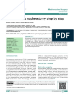 Percutaneous Nephrostomy Step by Step: Mini-Invasive Surgery