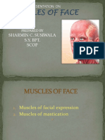 Muscles of Face