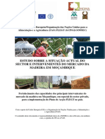 AMOMA - Mozambique - Progress Report 1 - Annexes - Timber Sector Actors' Study
