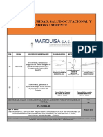 PL-SSOMARS-001, Plan Matriz SSOMA - Ver00