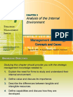 Analysis of The Internal Environment