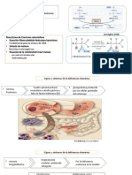 Vit.B12 - Parte 2