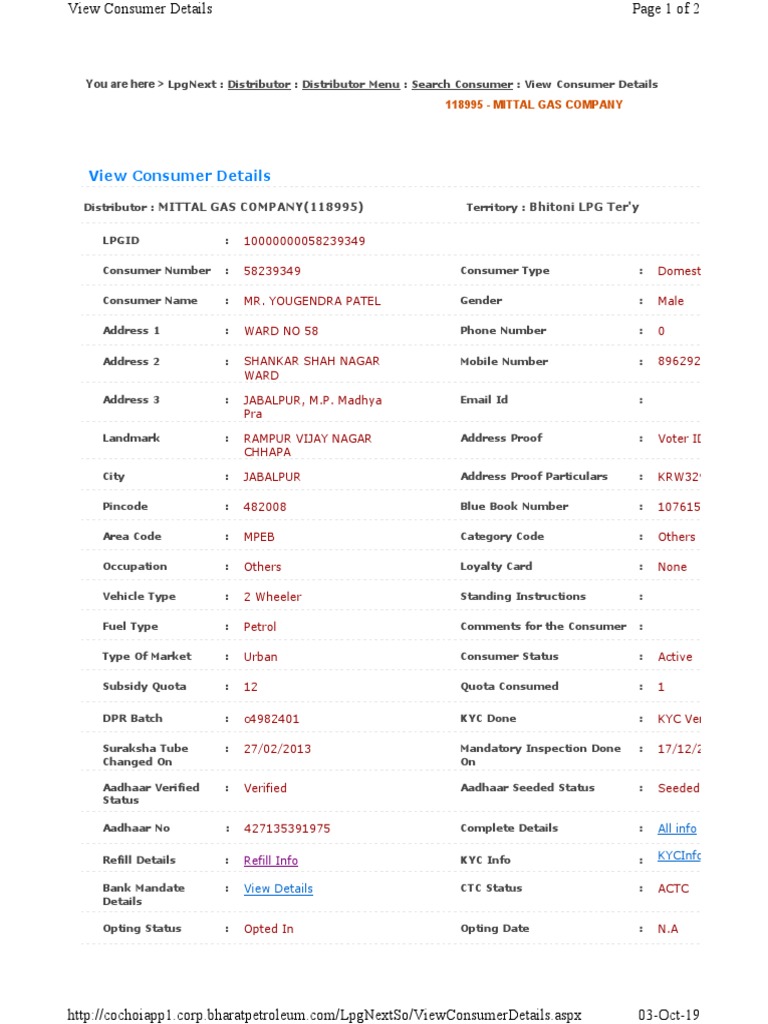 Consumer Details for Mittal Gas Company | PDF | Business