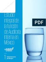 Estudio Integral de La Función de Auditoría Interna en México 2019D