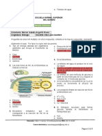 Evaluación Fotosíntesis TS