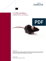 Fdocuments - in - c57bl6 Mouse Model Information Sheet Charles River PDF