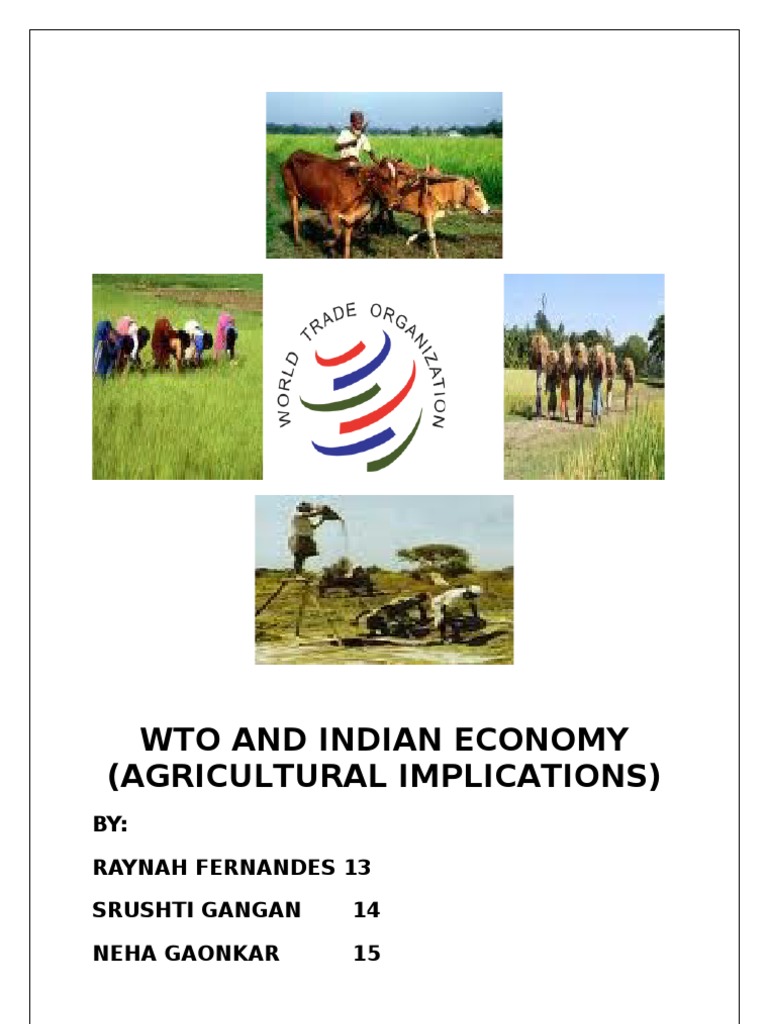 Wto and Indian Economy | PDF | World Trade Organization | Subsidy
