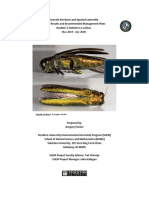 Work Sample - Invasive Insect Report