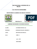 Informe 9