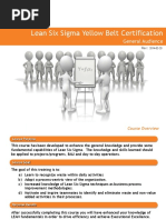 Lean Six Sigma Yellow Belt Certification: General Audience