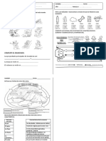 Tareas 5 CCNN PDF