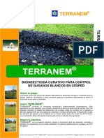 FOLLETO TERRANEM  Césped  Gusanos blancos.pdf