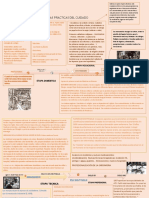 Origen y Evolucion de Las Practicas Del Cuidado