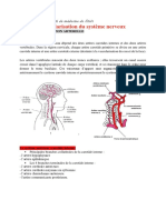 10-VASCULARISATION ARTERELLE DU CERVEAU.pdf