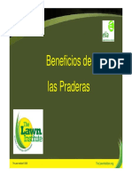 informes urbanos de sostenibilidad Beneficios de las praderas 