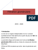 2-Filtration Glomérulaire 2019