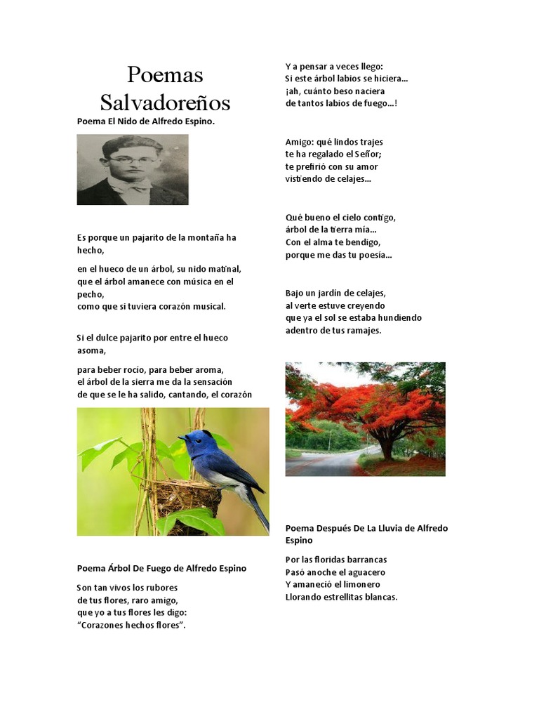 Las 440 mejores frases de amor para parejas, image size:768x1024