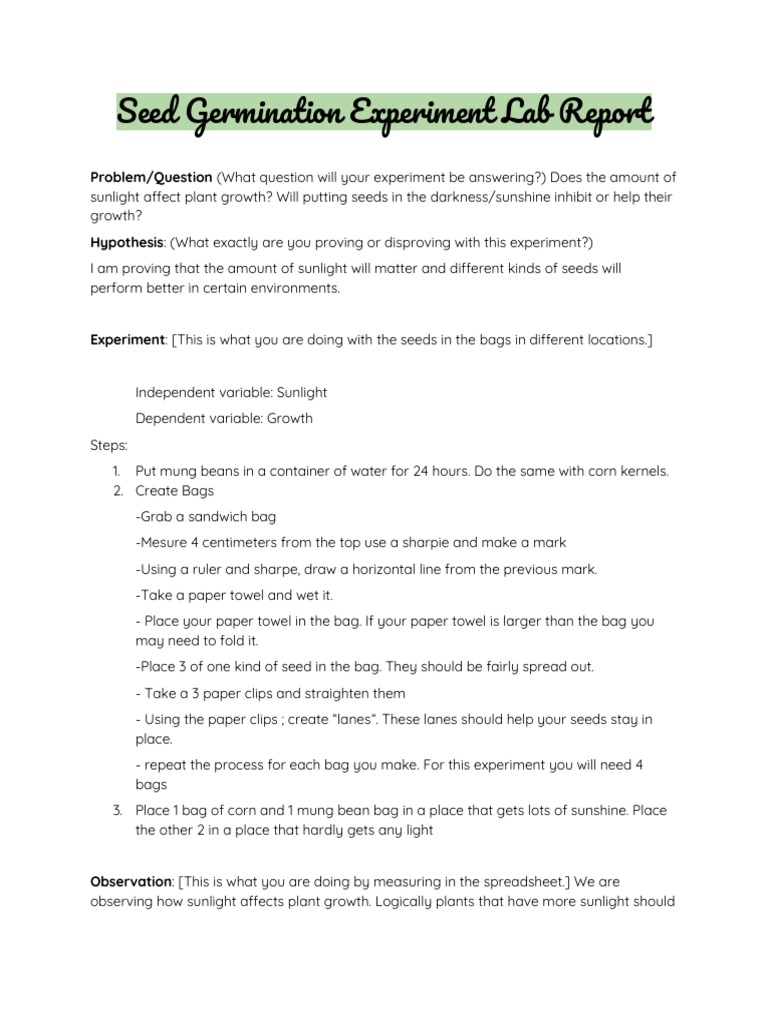 Seed Germination Experiment Lab Report Root Seed