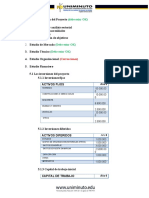 Formato Presentación Estudio Financiero (Autoguardado)