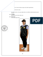 Reglamento Uniformes PNP PDF