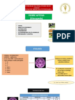 Semana 2 Aftosa