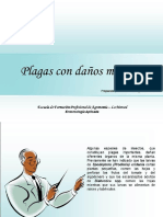 EAP-09-Plagas Con Danos Multiples