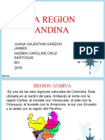 Trabajo Region Andina