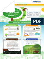 5to Primaria, El Ecosistema y Los Problemas Ambientales Parte 2 Rev LB