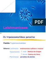 leishmania
