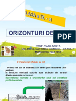 orizonturi_de_sol (1).ppt