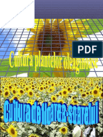 cultura_plantelor_oleaginoase_floareasoarelui.ppt