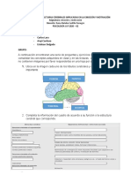 Estructuras Cerebrales Implicadas en La Emoción y Motivación