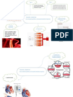 Mapa Mental Fisiologia111