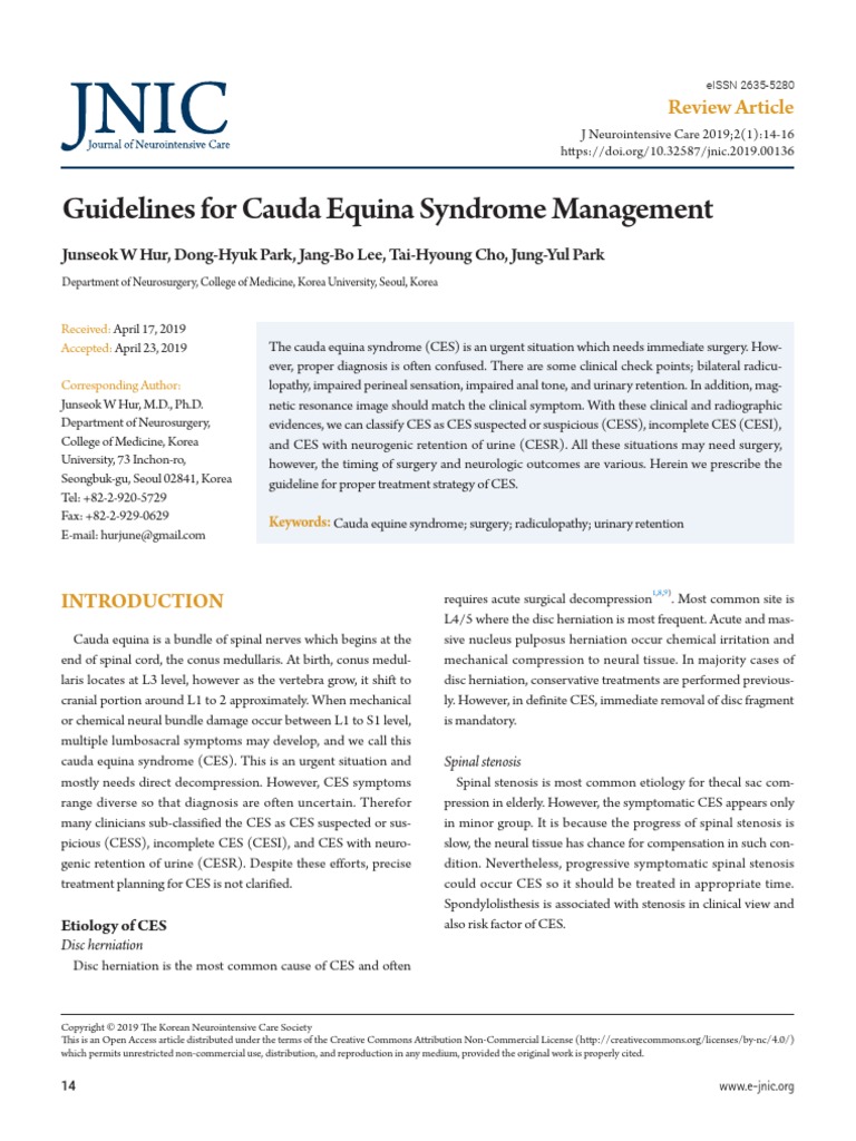 Guidelines For Cauda Equina Syndrome Management PDF Back Pain