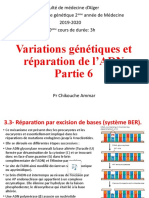 10 (6) - Variations Génétiques Et Réparation de l'ADN 6