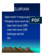 bms166_slide_kelumpuhan.pdf