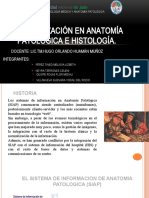 2.ANATOMIA HISTOLOGIA