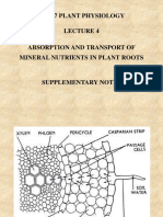 Lecture 4 - Supplementary Notes