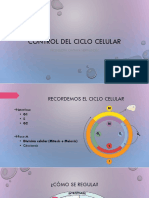 2°M BIOLOGIA Control Del Ciclo Celular 2 Julio PDF