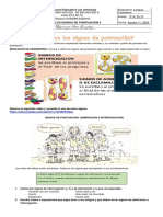 GUIA 7 DE LENGUA CASTELLANA Los Signos de Puntuación. 2 2 PDF