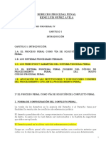 Cap - I - Introducci - N - DEFINITIVO - Curso Procesal Penal de René Núñez