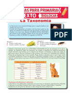 La-Taxonomía-para-Sexto-de-Primaria.pdf