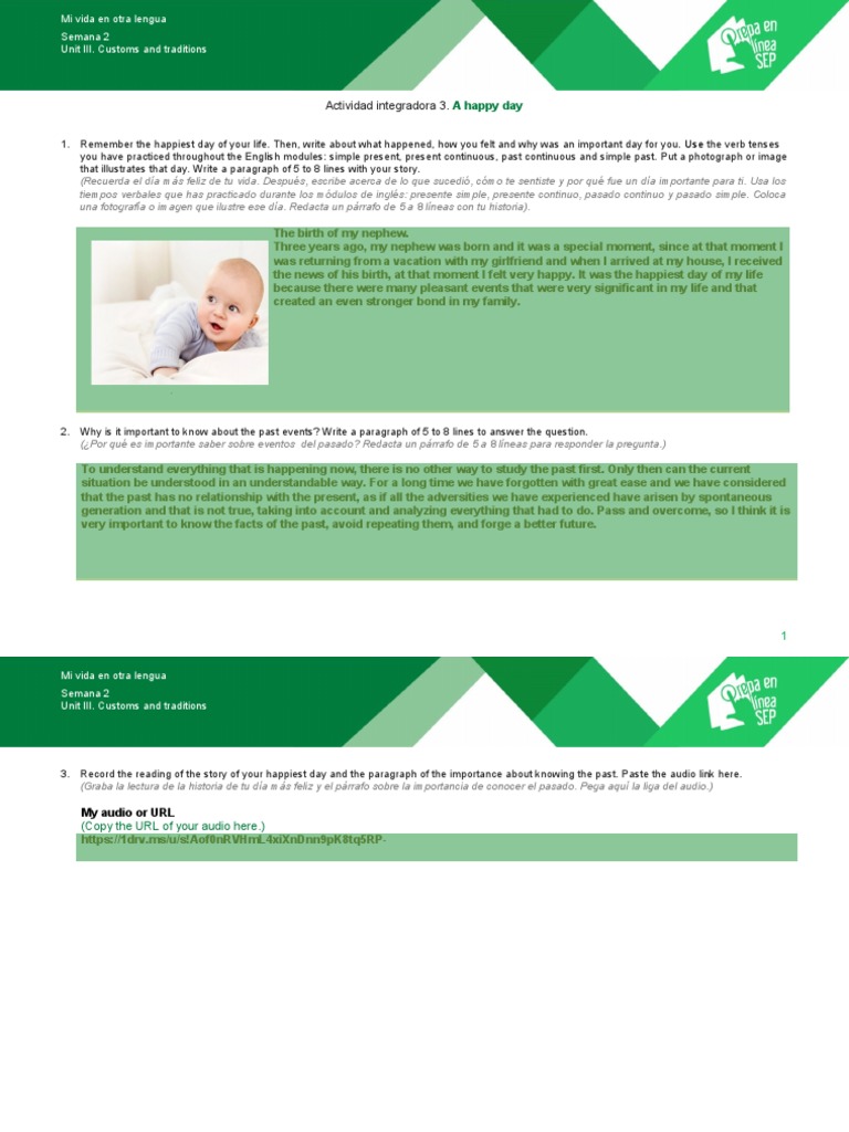 Actividad Integradora 3 Módulo 7 Pdf