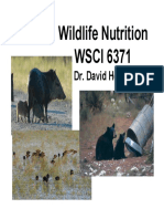 Wildlife Nutrition Research Provides Insights