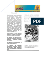Lisosomas PDF
