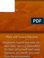 Plant and Animal Nutrition