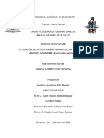 Tesis Definitiva PDF