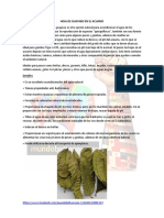 Hoja de Guayabo en El Acuario PDF