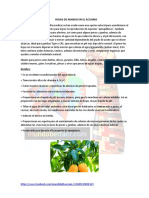 Hojas de Mango en El Acuario PDF